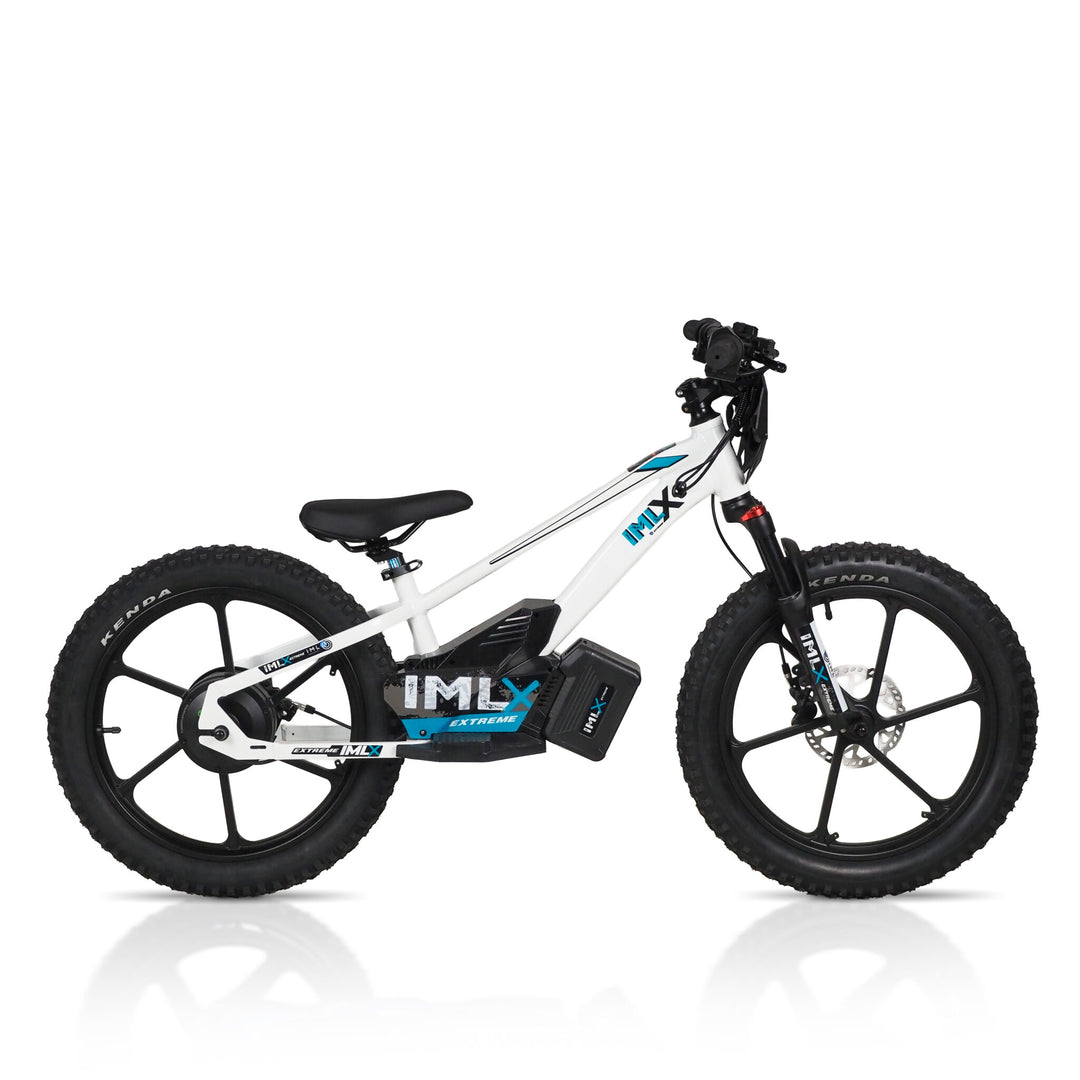 mountainbike extreme 2 IAMelectric X 20