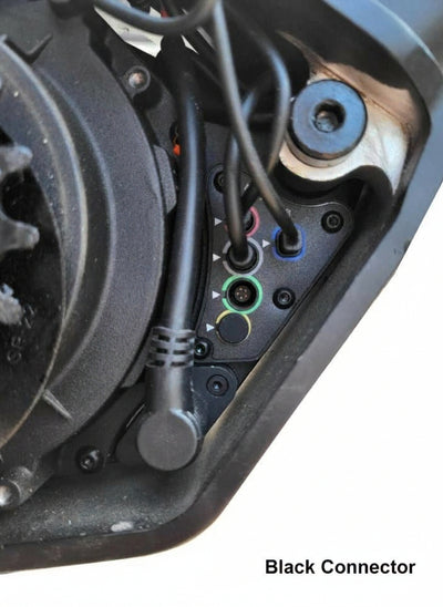 Speedfun Furious Evo Easy+ für Motinova Volans und Motinova Pegasie