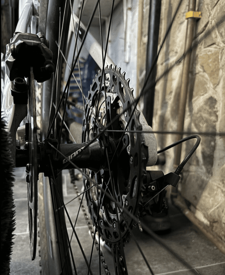 SPEEDi an E-Bike Limit Speed Increaser for Giant Trance X