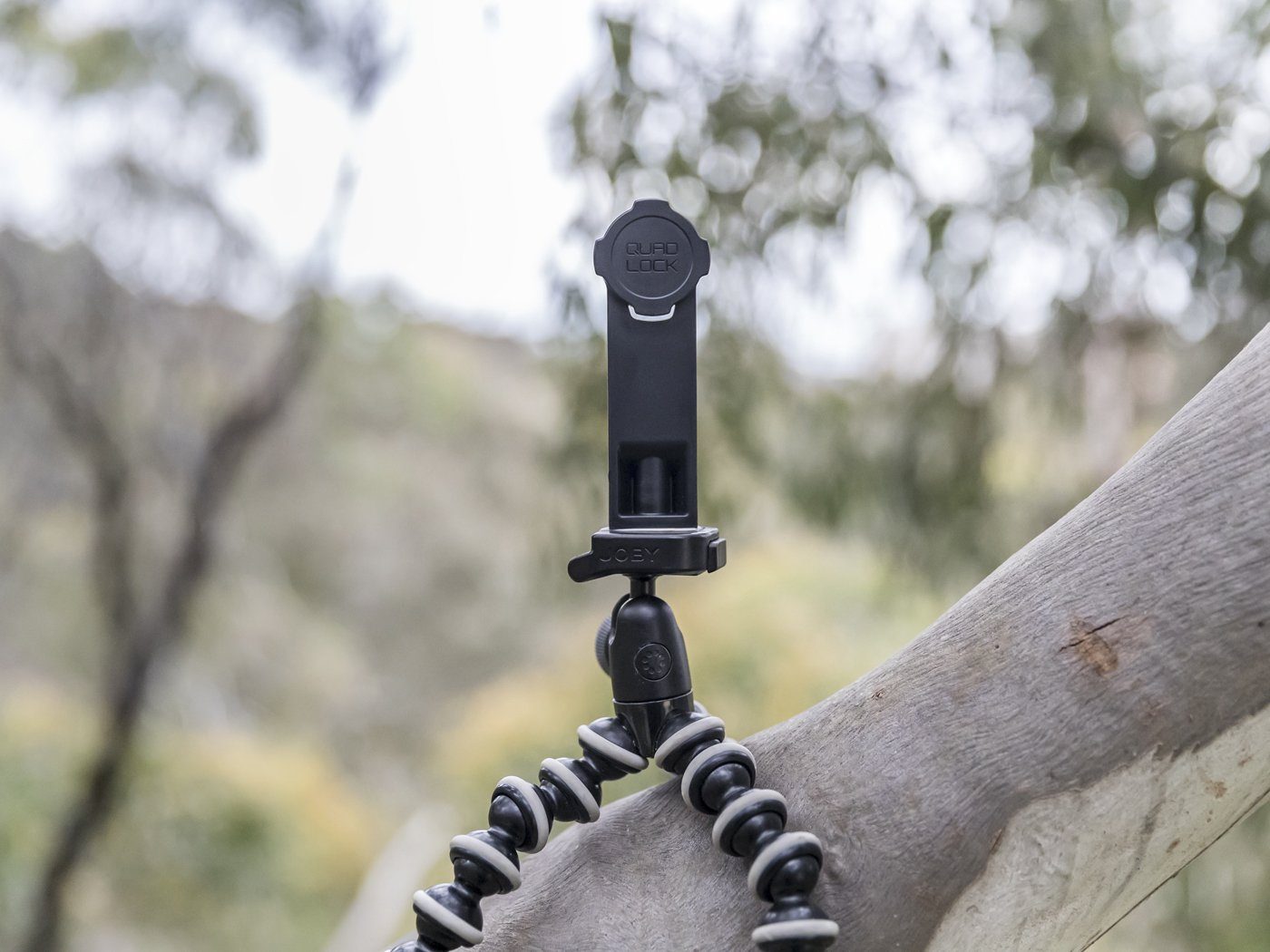 Photography - Tripod Adaptor Mounts Quad Lock 